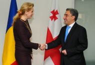 the Prime Minister of Georgia, Nika Gilauri met with the Chairman of the Parliament of Romania, Roberta Alma Anastase 